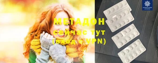 стаф Алзамай