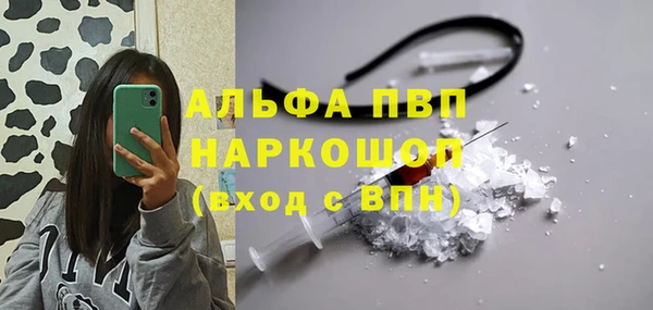 стаф Алзамай