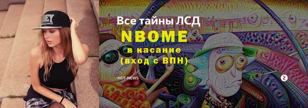 стаф Алзамай