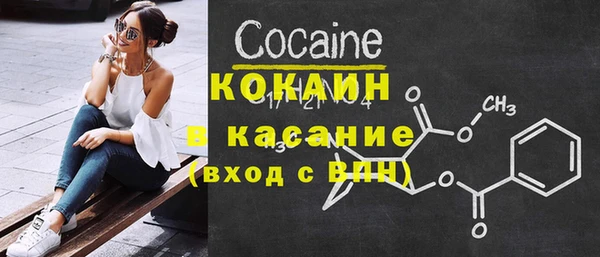 стаф Алзамай