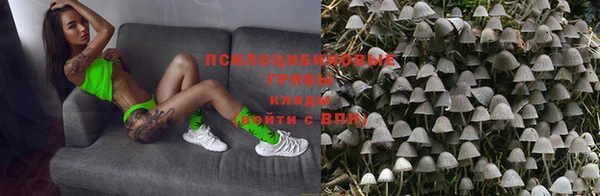 мяу мяу мука Алексин